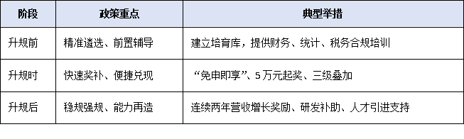 2025年小微工業企業上規模政策解讀：升規不是目的，產業躍升才是關鍵