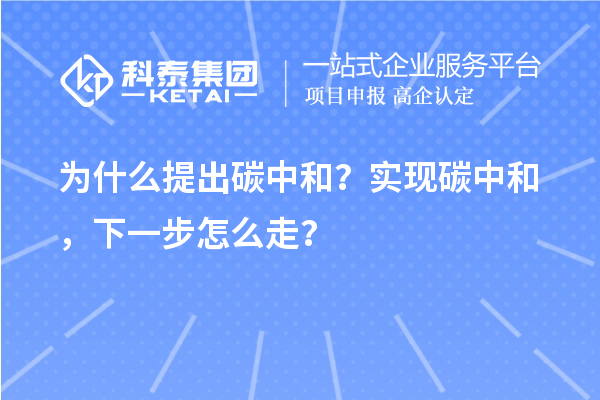 為什么提出碳中和?實現碳中和,下一步怎么走?