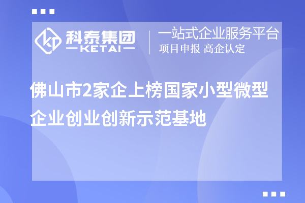 佛山市2家企上榜國家小型微型企業創業創新示范基地