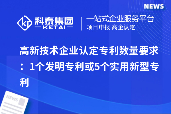 <a href=http://m.duckwijs.com target=_blank class=infotextkey>高新技術企業認定</a>專利數量要求：1個發明專利或5個實用新型專利