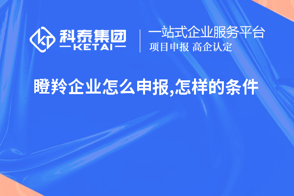 瞪羚企業怎么申報,怎樣的條件