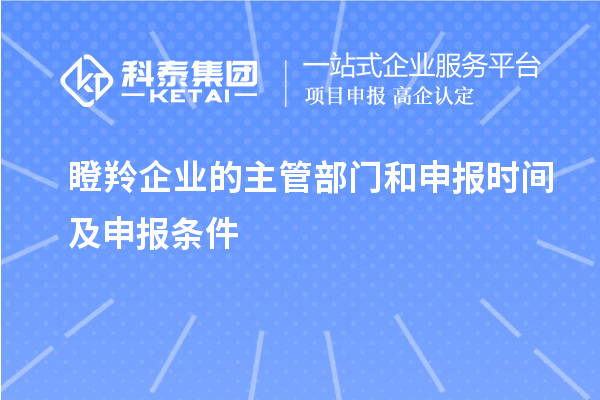 瞪羚企業的主管部門和申報時間及申報條件
