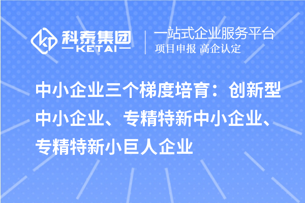中小企業(yè)三個梯度培育：創(chuàng)新型中小企業(yè)、專精特新中小企業(yè)、專精特新小巨人企業(yè)