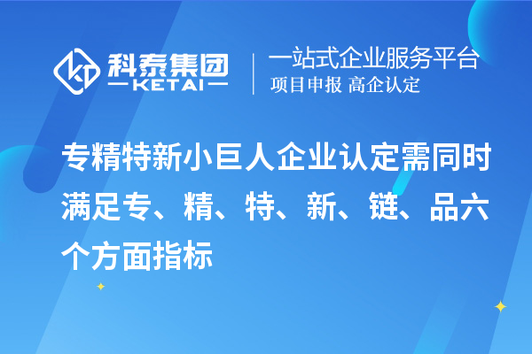專精特新小巨人企業認定需同時滿足專、精、特、 新、鏈、品六個方面指標