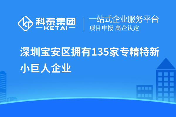 深圳寶安區擁有135家專精特新小巨人企業