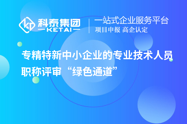 專精特新中小企業的專業技術人員職稱評審“綠色通道”