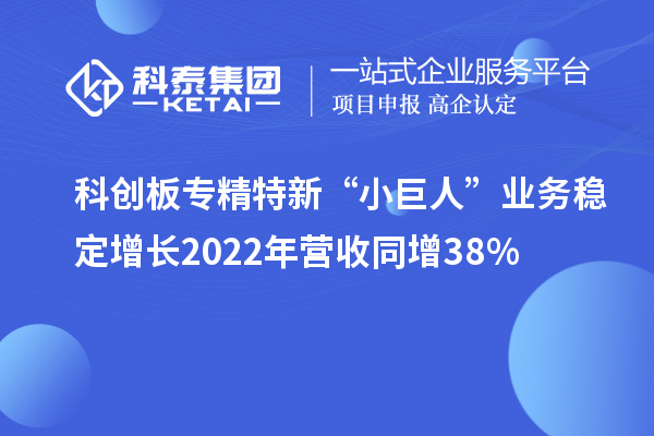 科創板專精特新“小巨人”業務穩定增長 2022年營收同增38%