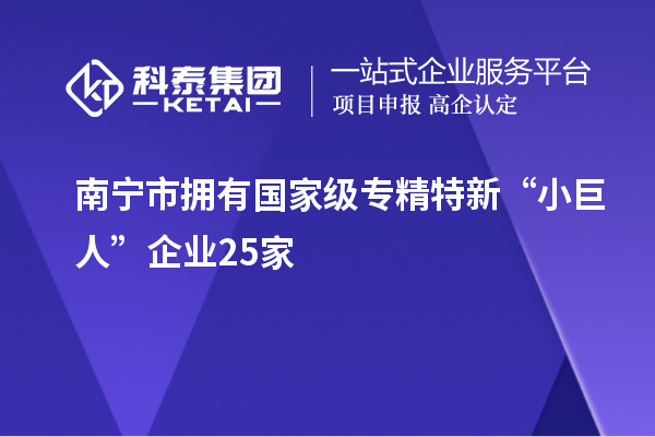 南寧市擁有國家級專精特新“小巨人”企業(yè)25家