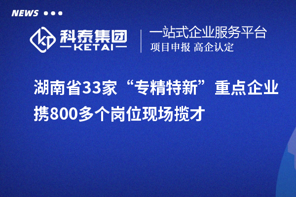 湖南省33家“專精特新”重點企業攜800多個崗位現場攬才