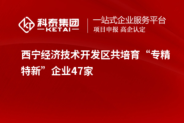 西寧經濟技術開發區共培育“專精特新”企業47家