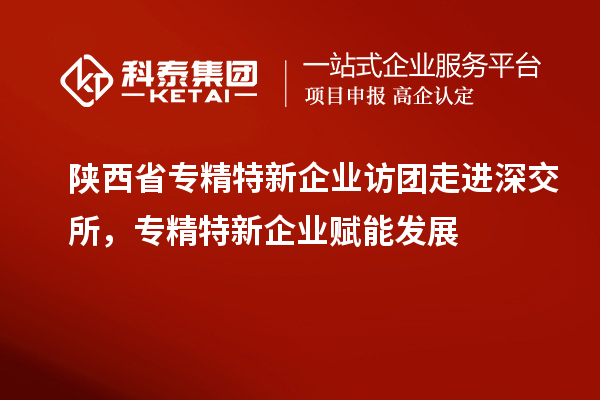 陜西省專精特新企業(yè)訪團(tuán)走進(jìn)深交所，專精特新企業(yè)賦能發(fā)展