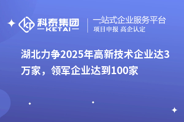 湖北力爭2025年高新技術企業達3萬家，領軍企業達到100家