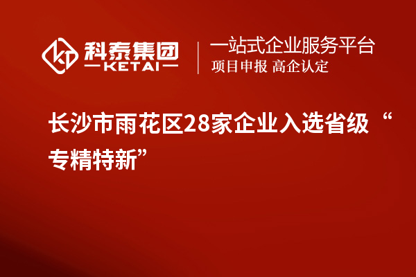 長沙市雨花區28家企業入選省級“專精特新”