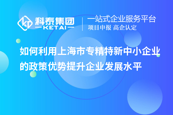 如何利用上海市專精特新中小企業的政策優勢提升企業發展水平