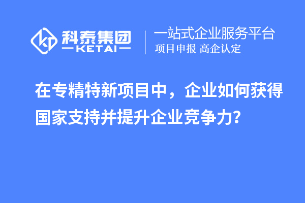 在專精特新項(xiàng)目中，企業(yè)如何獲得國(guó)家支持并提升企業(yè)競(jìng)爭(zhēng)力？