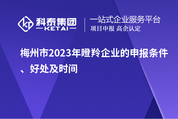梅州市2023年瞪羚企業(yè)的申報條件、好處及時間