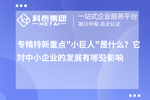 專精特新重點小巨人是什么？它對中小企業的發展有哪些影響