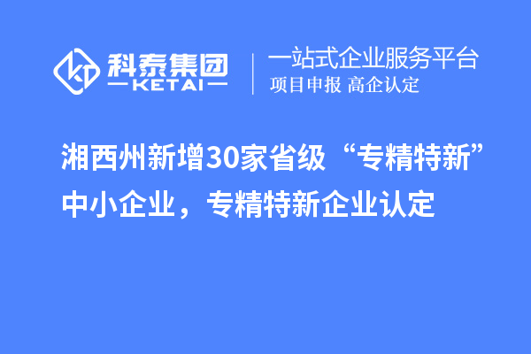 湘西州新增30家省級 “專精特新”中小企業，專精特新企業認定