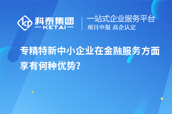 專精特新中小企業在金融服務方面享有何種優勢？