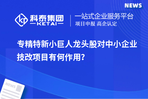 專精特新小巨人龍頭股對中小企業技改項目有何作用？