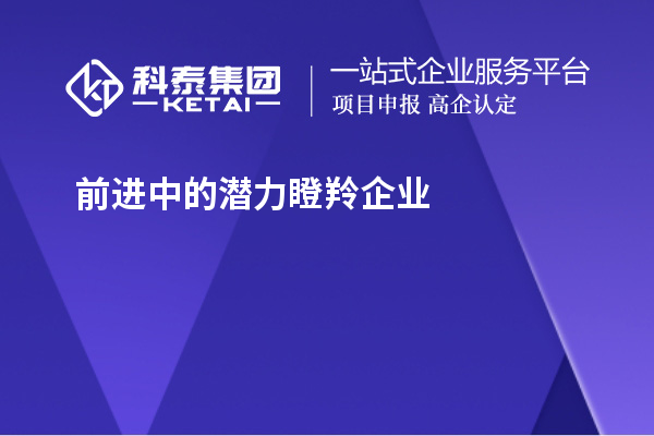 前進中的潛力瞪羚企業