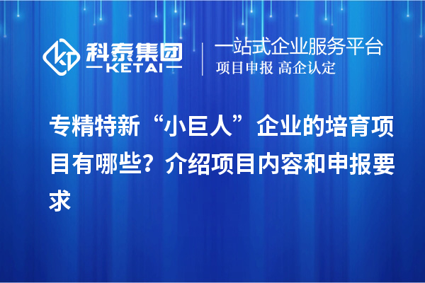 專精特新“小巨人”企業的培育項目有哪些？介紹項目內容和申報要求
