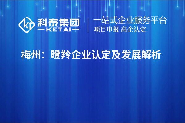 梅州：瞪羚企業認定及發展解析