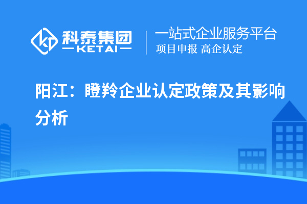 陽江:瞪羚企業認定政策及其影響分析
