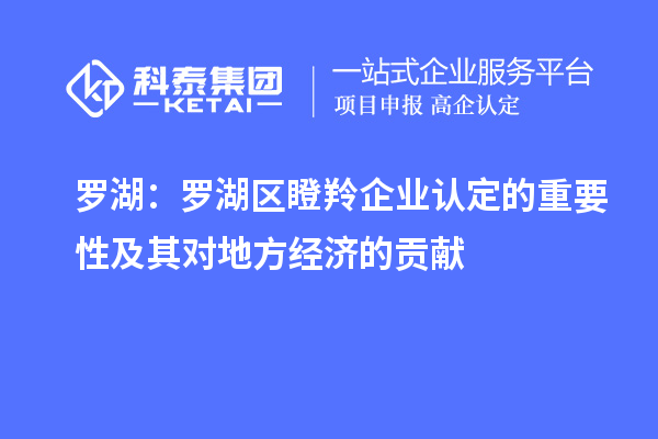 羅湖:羅湖區瞪羚企業認定的重要性及其對地方經濟的貢獻