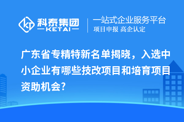 廣東省專精特新名單揭曉,入選中小企業有哪些技改項目和培育項目資助機會?