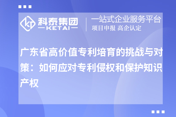 廣東省高價值專利培育的挑戰與對策：如何應對專利侵權和保護知識產權