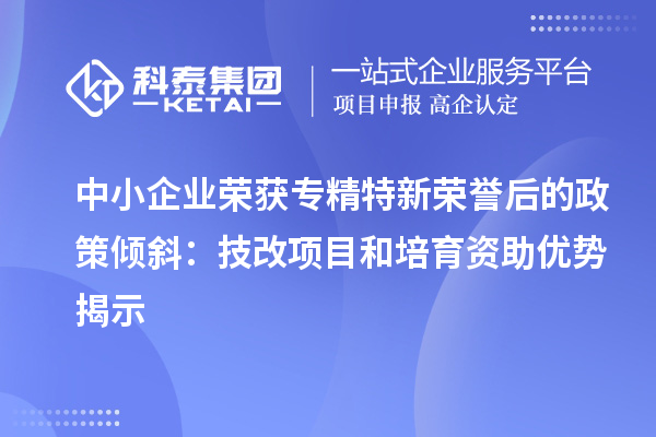 中小企業榮獲專精特新榮譽后的政策傾斜:<a href=http://m.duckwijs.com/fuwu/jishugaizao.html target=_blank class=infotextkey>技改</a>項目和培育資助優勢揭示