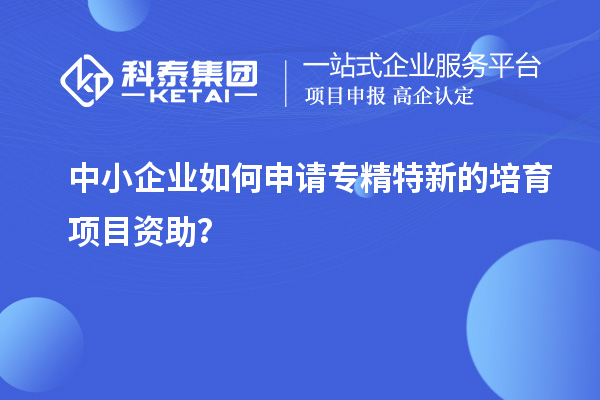 中小企業如何申請專精特新的培育項目資助?
