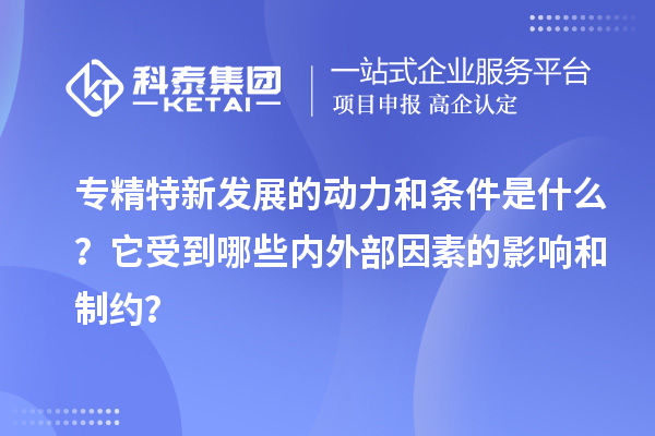 專精特新發展的動力和條件是什么？它受到哪些內外部因素的影響和制約？