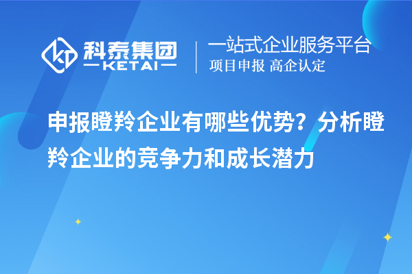 申報瞪羚企業有哪些優勢？分析瞪羚企業的競爭力和成長潛力