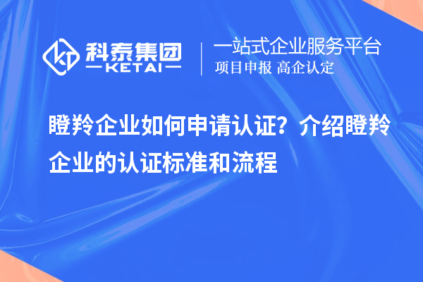瞪羚企業(yè)如何申請(qǐng)認(rèn)證？介紹瞪羚企業(yè)的認(rèn)證標(biāo)準(zhǔn)和流程