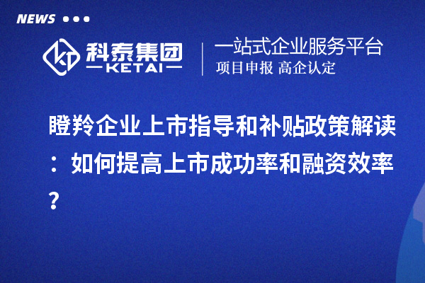 瞪羚企業上市指導和補貼政策解讀：如何提高上市成功率和融資效率？