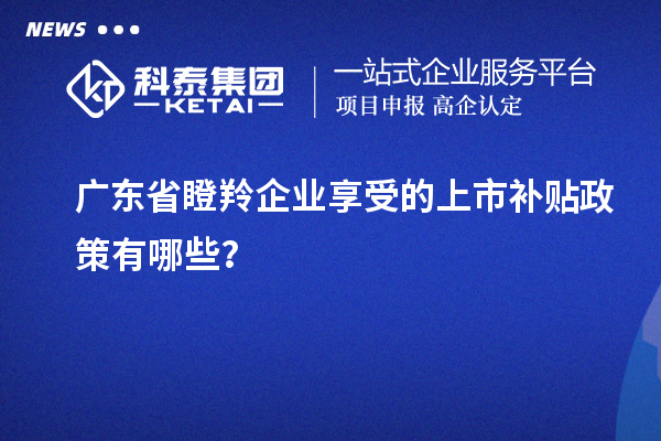 廣東省瞪羚企業享受的上市補貼政策有哪些?