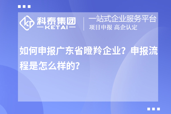 如何申報廣東省瞪羚企業?申報流程是怎么樣的?