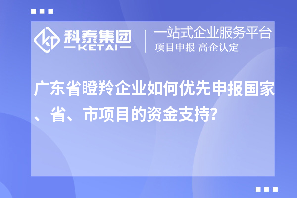 廣東省瞪羚企業如何優先申報國家、省、市項目的資金支持?