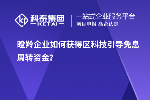 瞪羚企業如何獲得區科技引導免息周轉資金?