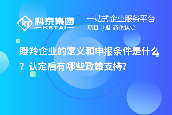 瞪羚企業的定義和申報條件是什么?認定后有哪些政策支持?