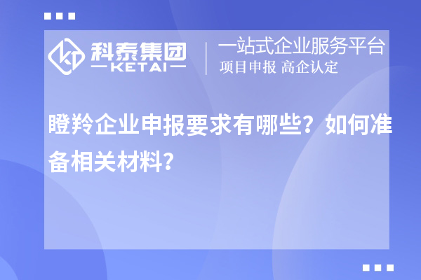 瞪羚企業申報要求有哪些?如何準備相關材料?