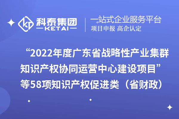 “2022年度廣東省戰略性產業集群知識產權協同運營中心建設項目”等58項知識產權促進類（省財政）項目驗收結果