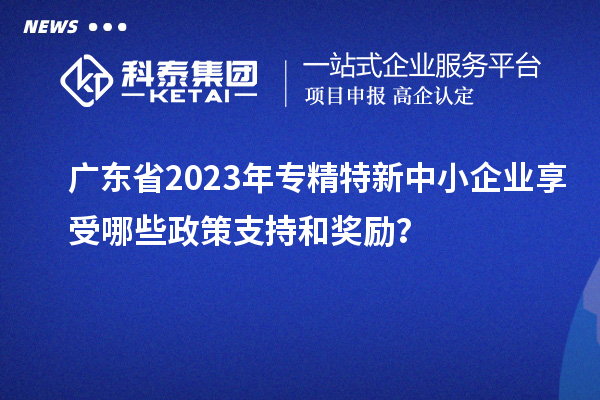 廣東省2023年專精特新中小企業(yè)享受哪些政策支持和獎勵？