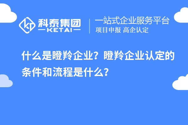 什么是瞪羚企業?瞪羚企業認定的條件和流程是什么?