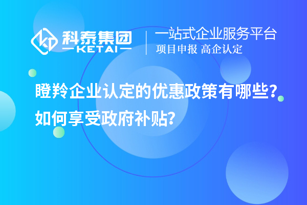瞪羚企業認定的優惠政策有哪些?如何享受政府補貼?