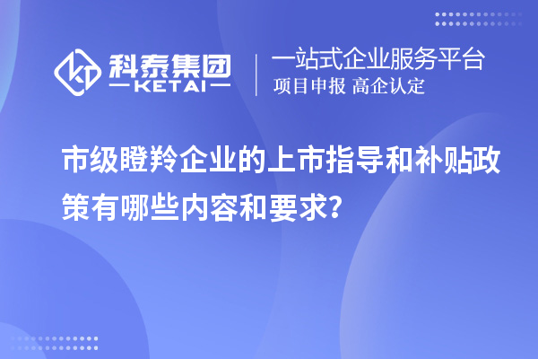 市級瞪羚企業的上市指導和補貼政策有哪些內容和要求?