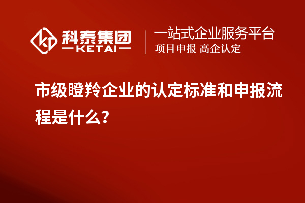 市級瞪羚企業的認定標準和申報流程是什么?