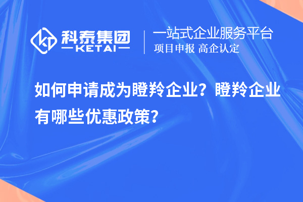 如何申請成為瞪羚企業?瞪羚企業有哪些優惠政策?